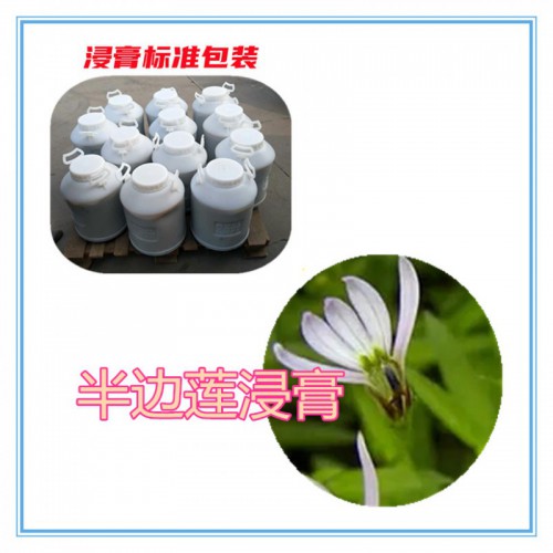 半邊蓮提取物  半邊蓮浸膏 半邊蓮粉 半邊蓮破壁粉