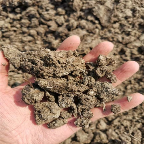 干雞糞 曬干雞糞 風干雞糞 晾干雞糞