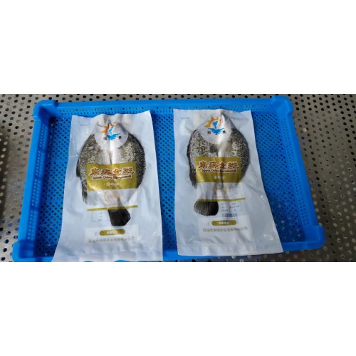 塑料單凍器 食品單凍盤 食品級耐高溫網(wǎng)格風(fēng)干盤