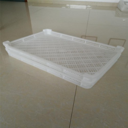 塑料風(fēng)干晾曬冷凍盤 塑料單凍盤 塑料冷凍筐