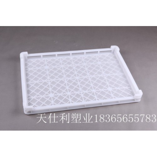 食品級(jí)耐高溫網(wǎng)格風(fēng)干盤(pán) 塑料烘干晾曬盤(pán)廠(chǎng)家