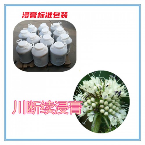 川斷續(xù)提取物 川斷續(xù)粉 川斷續(xù)浸膏 川斷續(xù)提取液