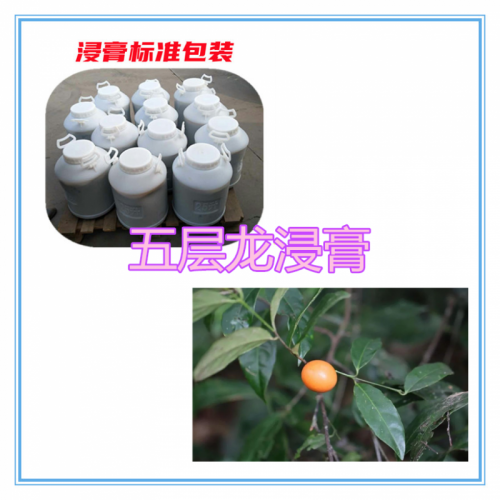 五層龍速溶粉  五層龍提取物 五層龍浸膏 五層龍浸膏粉