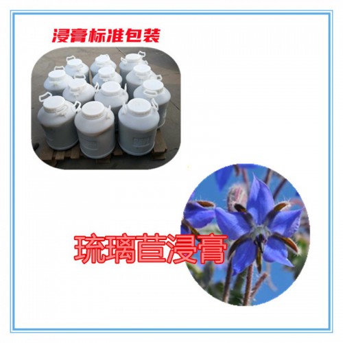 琉璃苣速溶粉 琉璃苣提取物  琉璃苣浸膏 琉璃苣浸膏粉