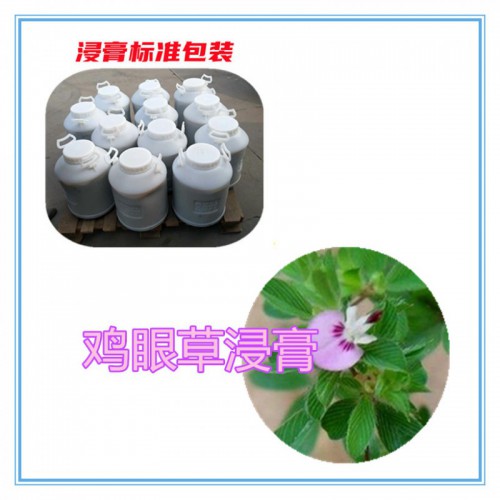 雞眼草速溶粉 雞眼草提取物 雞眼草浸膏 雞眼草浸膏粉