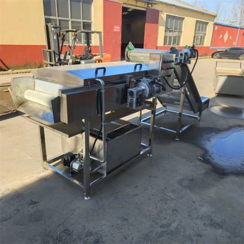 黃瓜清洗機  西紅柿清洗機  羅漢果清洗機 義康制造