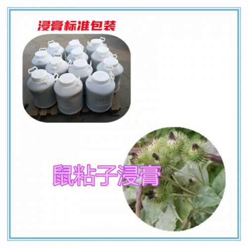 鼠粘子提取物 鼠粘子浸膏  鼠粘子粉 鼠粘子破壁粉