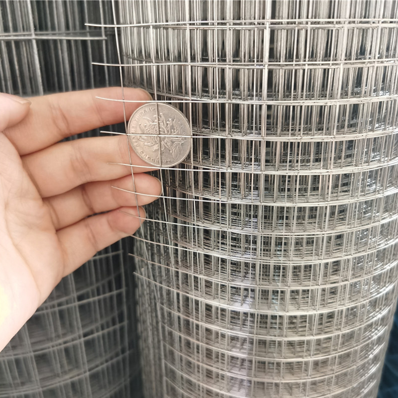 1.27cm鍍鋅鋼絲網(wǎng)