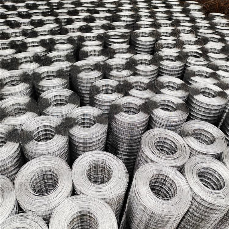 鍍鋅鋼絲網(wǎng)卷網(wǎng)