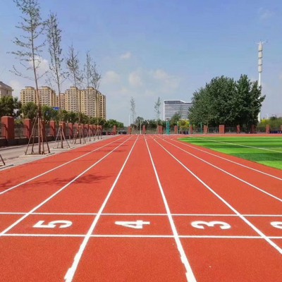 小區(qū)步道 公園步道 幼兒園步道