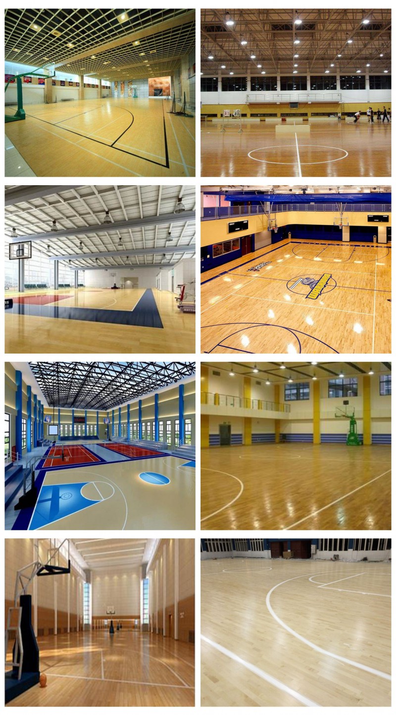 籃球場(chǎng)館 (2)