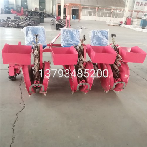 葉菜移栽機 菊花種植機 牽引式蔬菜苗移植機