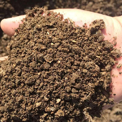 羊糞 發酵羊糞 曬干羊糞