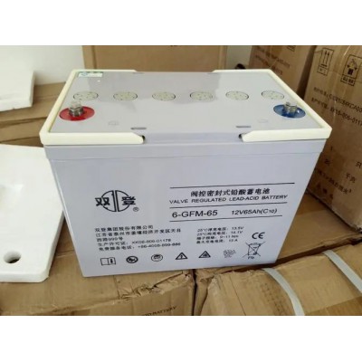 雙登蓄電池6-GFM-24鉛酸免維護電池12V24AH