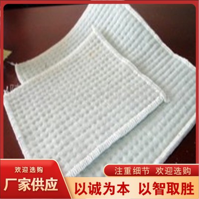 防水毯 膨潤土防水毯 納基膨潤土防水毯