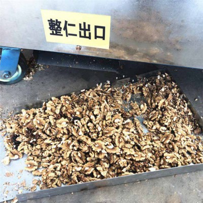 核桃剝殼機(jī) 不銹鋼碧根果剝殼機(jī) 剝殼干凈不破碎