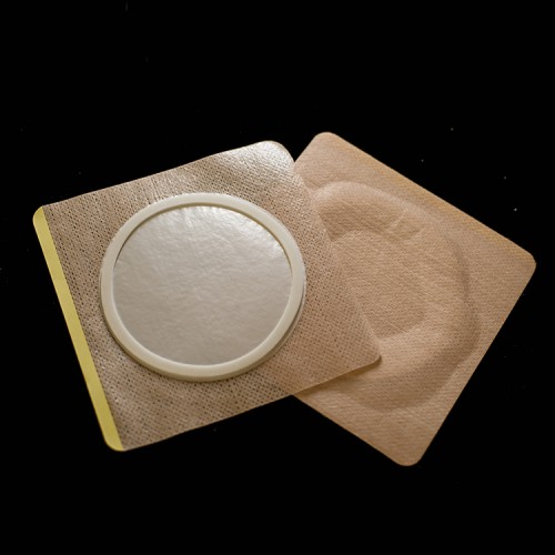 廠家供應 三伏貼空白貼OEM貼牌定制招代理