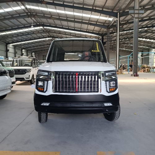 全封閉女士電瓶車 油電兩用低速代步車 老年電動(dòng)四輪代步車