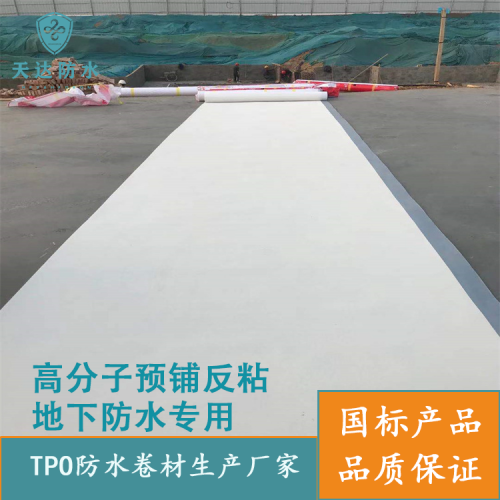 預(yù)鋪反粘TPO防水卷材 TPO防水卷材地下側(cè)墻基坑車庫頂板