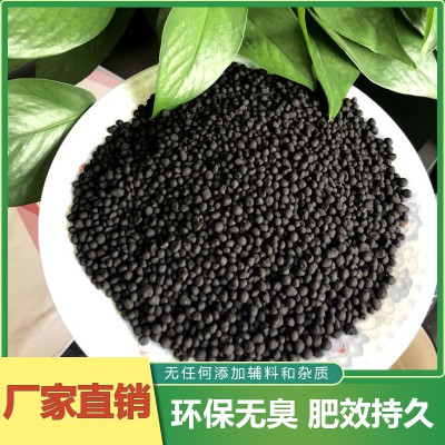 微生物菌肥 顆粒微生物菌肥 顆粒有機(jī)菌肥
