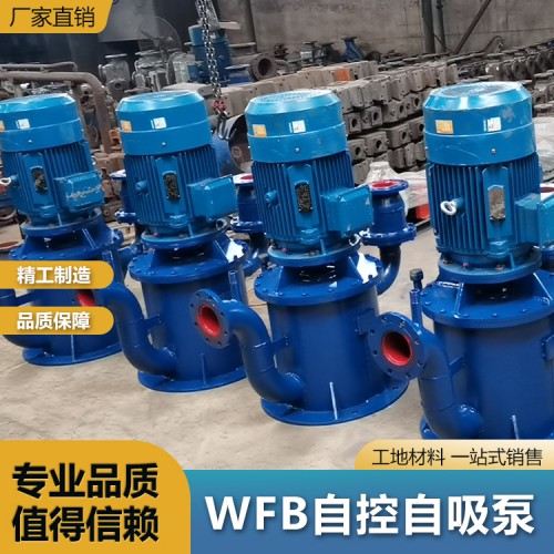 污水自控自吸泵 無密封無堵塞自控自吸泵 自吸泵精選廠家