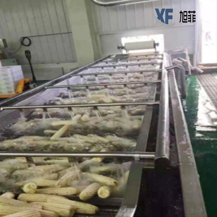 玉米清洗除雜機(jī)