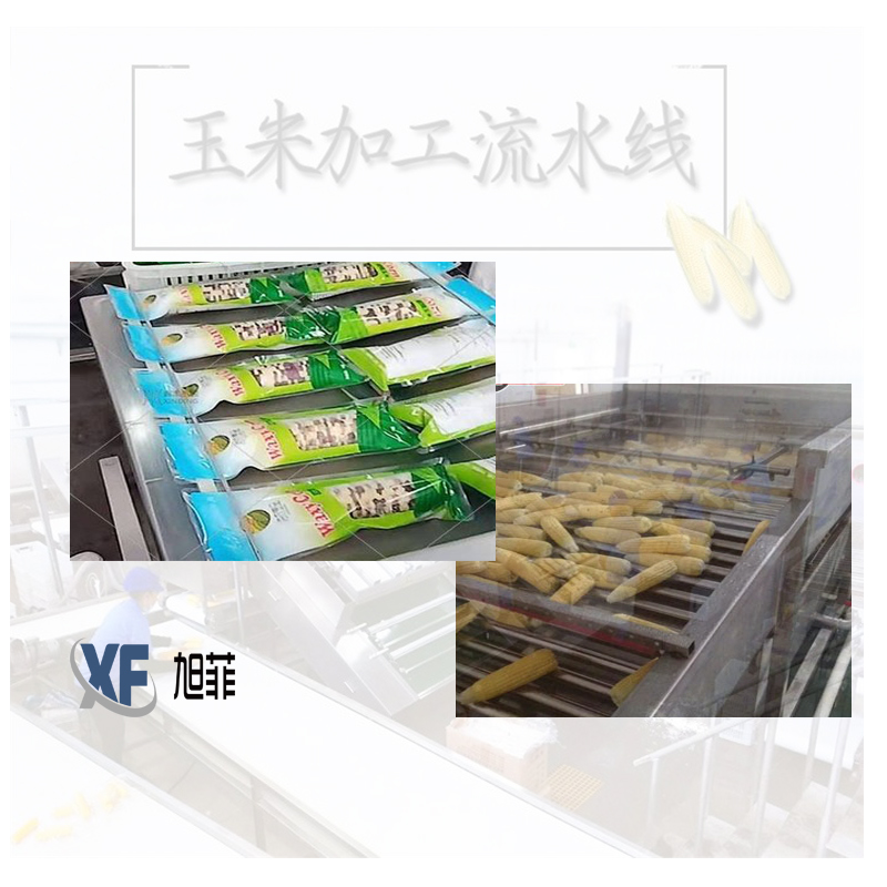 玉米加工流水線(xiàn)