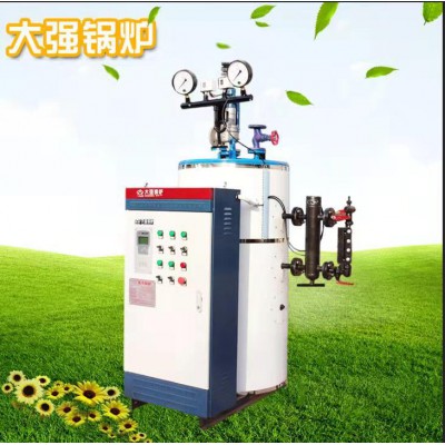 電蒸汽鍋爐廠家 大強(qiáng)王電蒸汽鍋爐