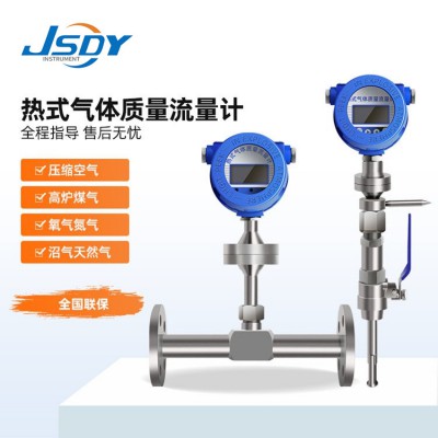 熱式氣體質量流量計