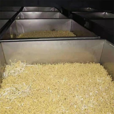 淋水線 全自動豆芽機(jī)淋水線  智能豆芽淋水線