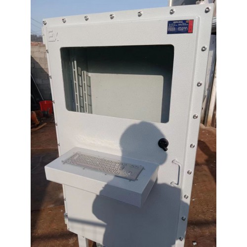 防爆電腦柜  不銹鋼防爆電腦柜 鋼板焊接防爆電腦柜 浙創防爆