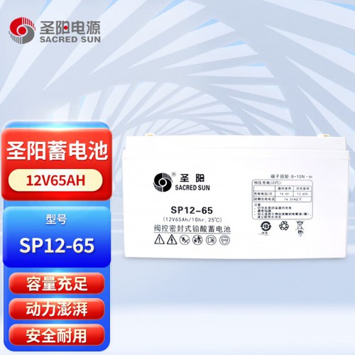 圣陽蓄電池SP12-65 12V6