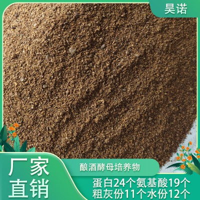 釀酒酵母培養物