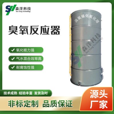 臭氧催化氧化塔 臭氧反應器