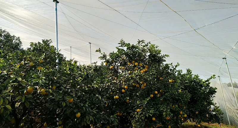 5`7Y%Y$EAA`JT9~J~{0I5AJ