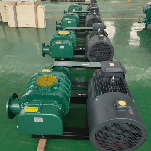 羅茨風(fēng)機(jī)