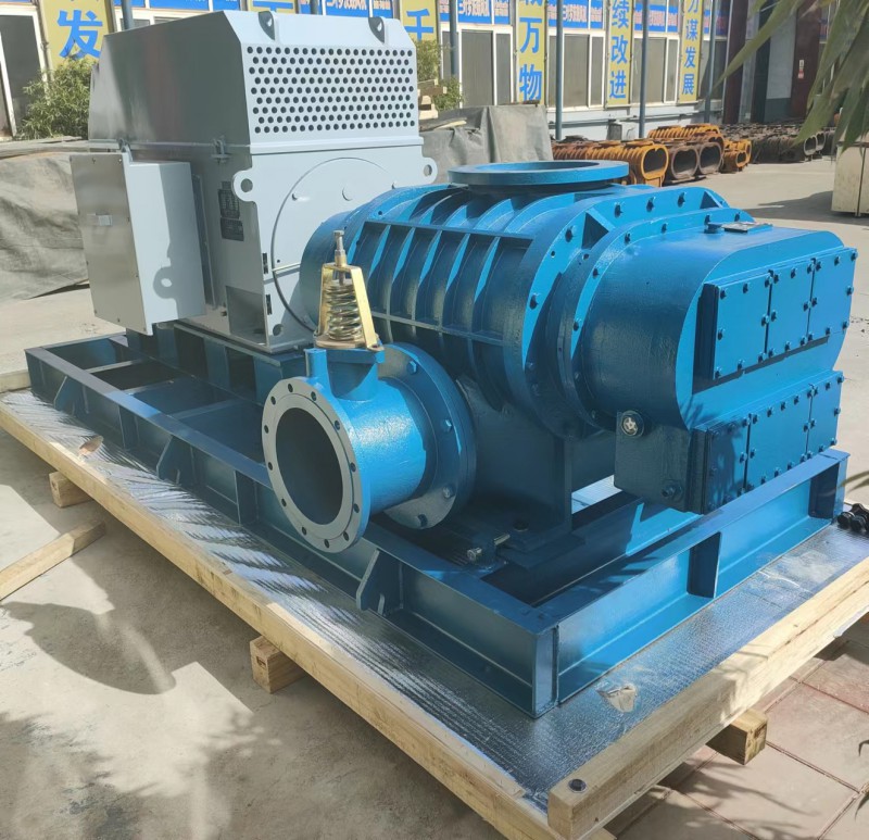 350羅茨6KV高壓脫硫風(fēng)機(jī)