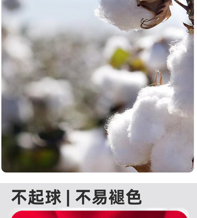 AZ54-AZ55-AB63-AA06詳情_(kāi)07