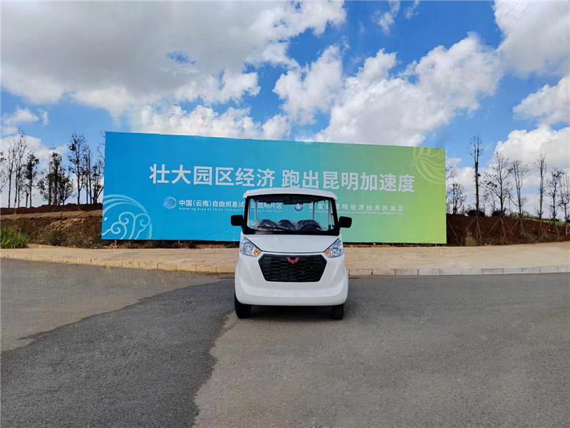 8觀光車價(jià)格