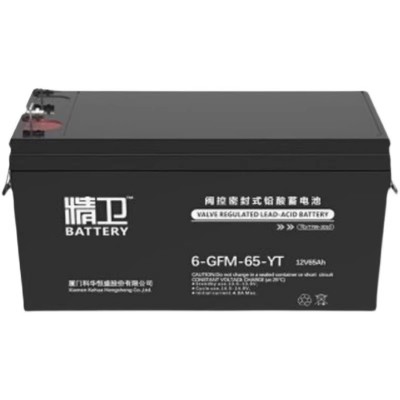 科·華精衛蓄電池6-GFM-65-YT免維護12V65AH