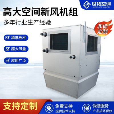 高大I空間新風機組/空調新風機組/專用空調新風設備