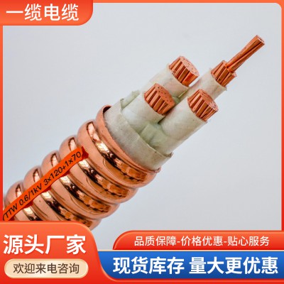 YTTW(銅護套無機礦物絕緣防火電纜)